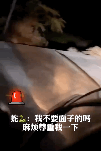 「姑娘一看就不好惹，腰間的痕跡已經說明身份！」哈哈哈 搞笑整蠱 第29张