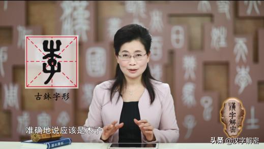 关于姓李的历史由来，姓李的朋友注意