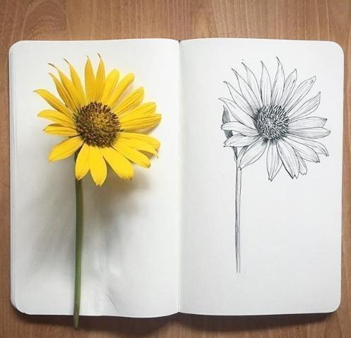 激励自己努力的句子，激励自己的句子精辟