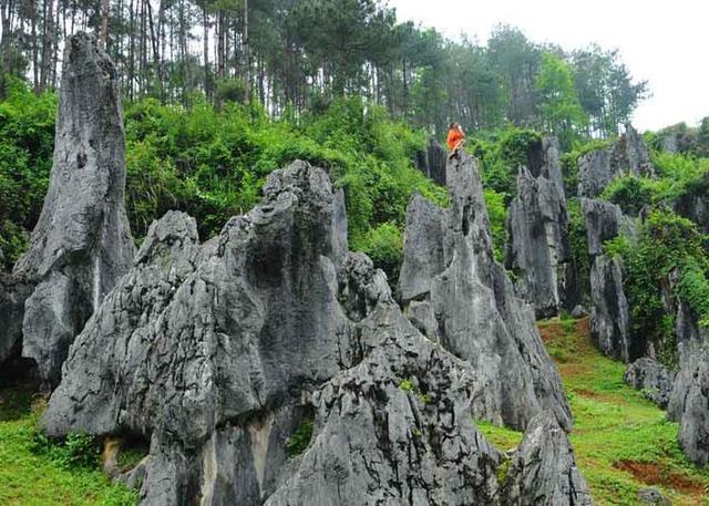 石林风景区图片，铜仁石林风景区（拥有全省最大的天然石林景观）