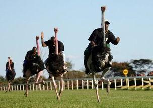 复活节的历史缘由，复活节的来历你都清楚了解吗