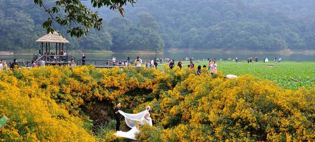 从化旅游景点大全，从化一日游旅游攻略大全（打卡吕田鹰嘴桃花+罗洞工匠小镇麦浪+莲麻小镇）