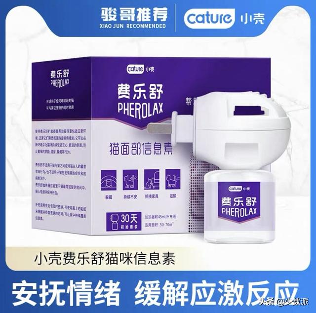 猫走丢了怎么办，猫咪走丢了怎么办快来看看吧