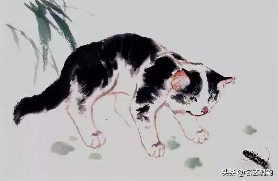 100种小猫怎么画，100种画真猫的画法（教你在纸上养个主子）