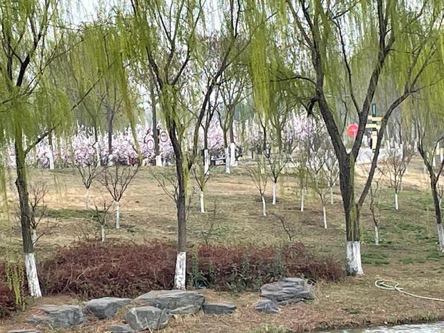 沾衣欲湿杏花雨的下一句，沾衣欲湿杏花雨后面一句是什么（吹面不寒杨柳风。诗句常被引用）