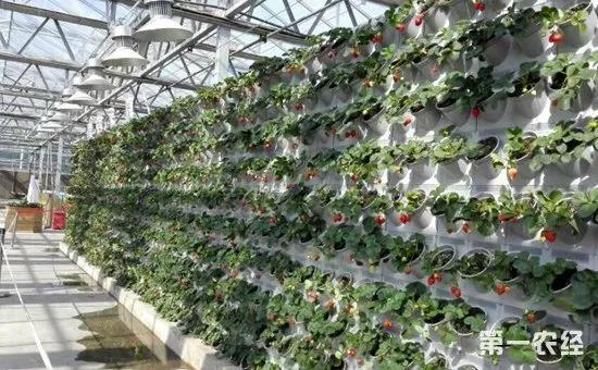 投资少见效快的项目，有没有适合农村投资少的致富项目（投资小见效快的6个致富小项目）