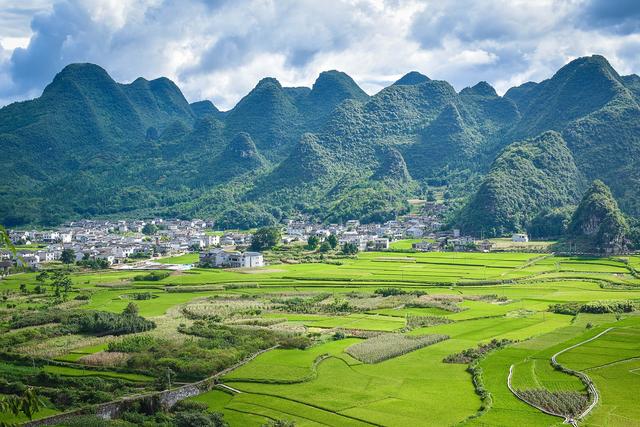 罗平油菜花最佳时间，去罗平看油菜花攻略