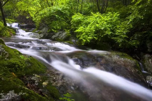 辽宁旅游必去的地方是哪里，辽宁这几处网红打卡景点