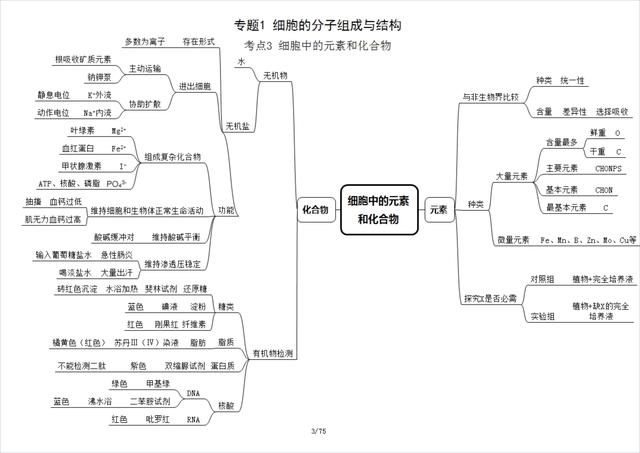 高中生物必修一思维导图，高中生物必修一全部思维导图（高中生物必修1思维导图）