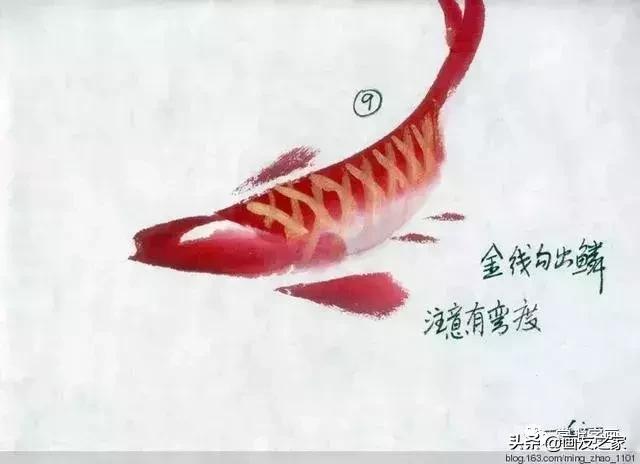 花鸟工笔画的基本步骤，工笔花鸟画法合集