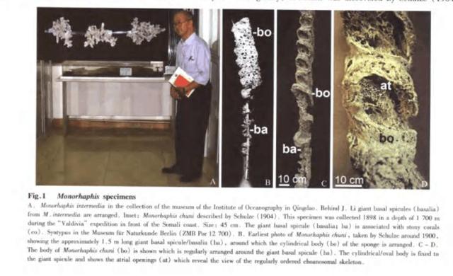如果这个世界上真的存在硅基生物，科学家推测硅基生命