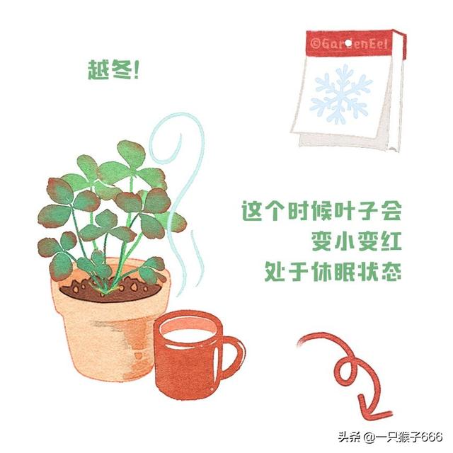 什么品种草莓好吃，草莓品种最好的是哪种（24种常见草莓品种）