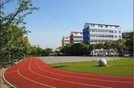 上海十大最难进的小学，上海菜小的逆袭
