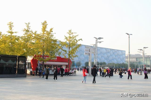 奥林匹克大道公园，奥林匹克公园美景图（小岛土著都不一定了解哦）