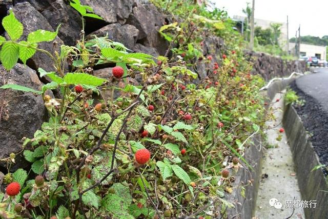 四明山好玩的景点大全，四明山游记