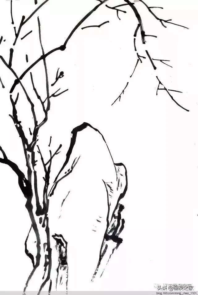 花鸟工笔画的基本步骤，工笔花鸟画法合集