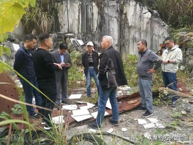 粉青是哪里的玉，碧玉新贵“粉青”是靠什么力压群芳