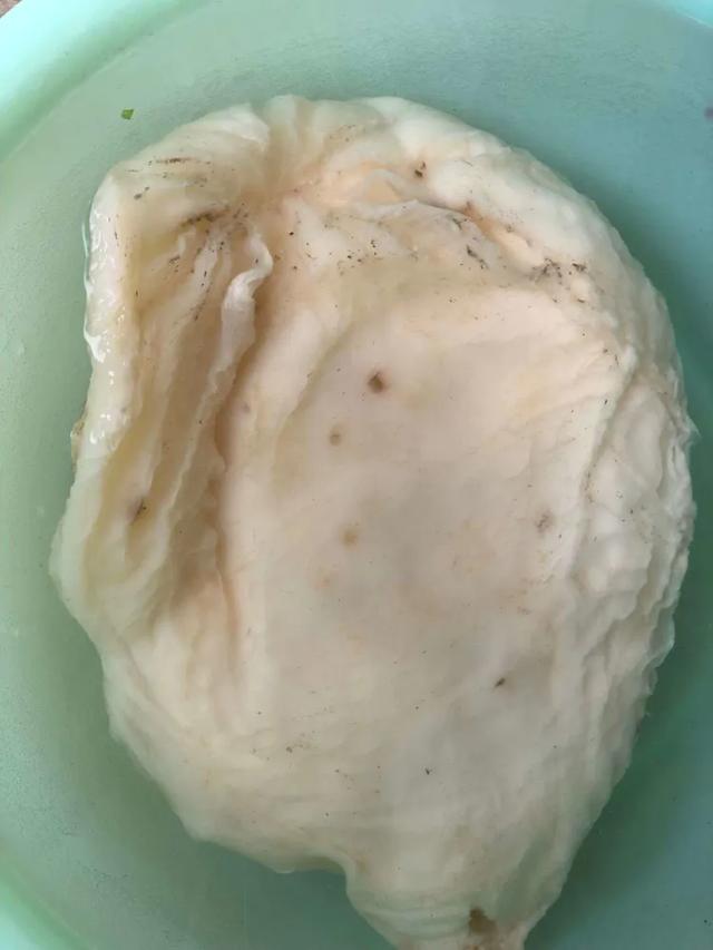 太岁肉灵芝为什么那么稀有，真假太岁肉灵芝的知识论述