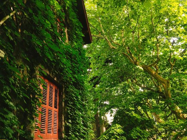 上海的老洋房故事，上海一幢70余年历史老洋房引发官司