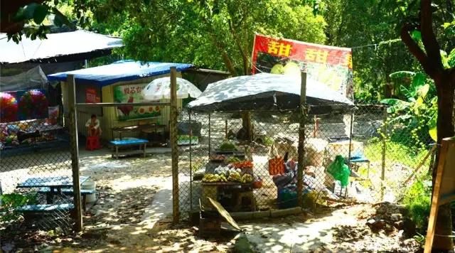 广州大夫山在哪，广州番禺-大夫山