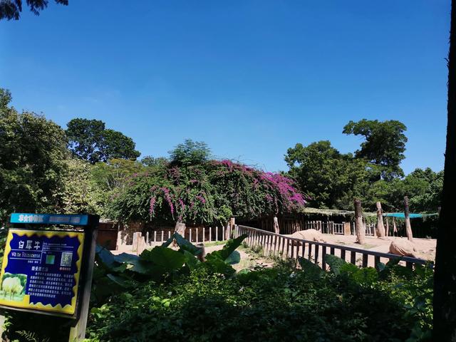 广州动物园游玩攻略，广州动物园玩转攻略（广州五一出行旅游攻略之广州动物园）