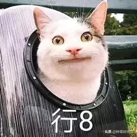 屈臣氏是卖什么的，屈臣氏必买10件良心产品（屈臣氏，大事不妙）