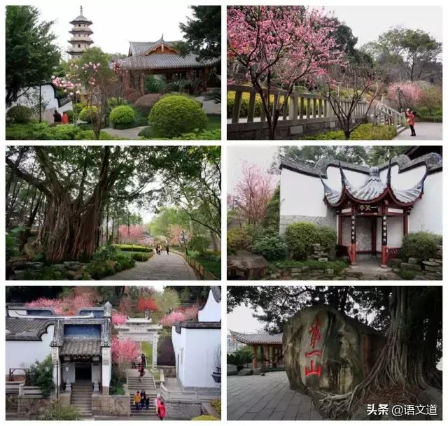 百家姓林排第几，福建省姓氏最新排名