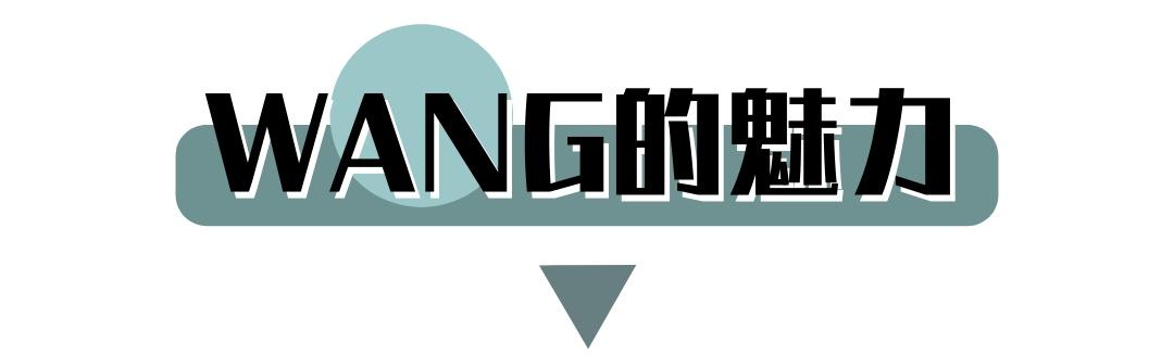 4大著名设计师，知名设计师亚历山大.王