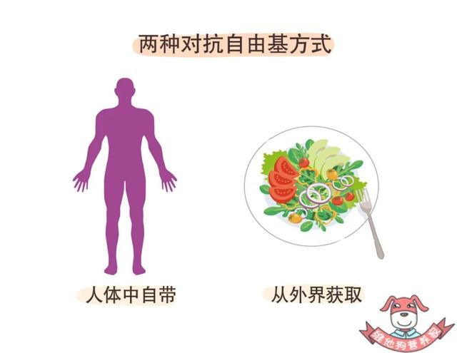 自由基抗氧化剂有什么，盘点若美欣等三大含富勒烯护肤品