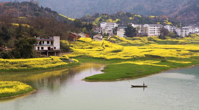 新安江山水画廊风景区，新安江山水画廊风景区在哪里（忘不了的山水画廊，你想它几分）