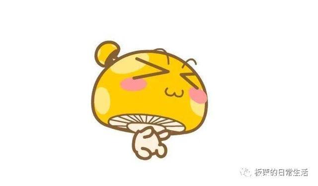 生活必备的5个冷知识你都知道了吗，这五个日常出行必备的冷知识你知道吗