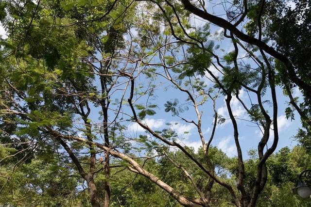 深圳游玩攻略必去的地方免费，7个遛娃好去处全免费