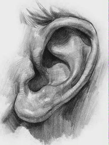 素描画五官详解，素描五官深度剖析