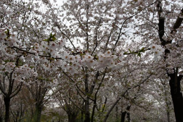 最新上海周边游攻略自驾，上海周边自驾游必去线路推荐