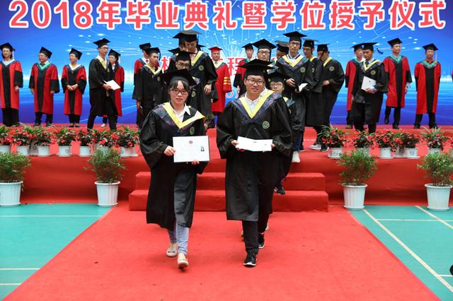 独立院校好还是民办好，报民办大学好还是独立学院好（独立学院和民办本科该怎么选）