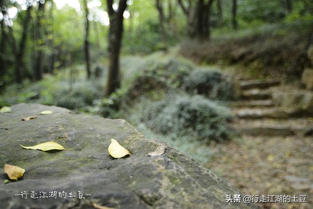 虞山国家森林公园，历史上的虞山公园