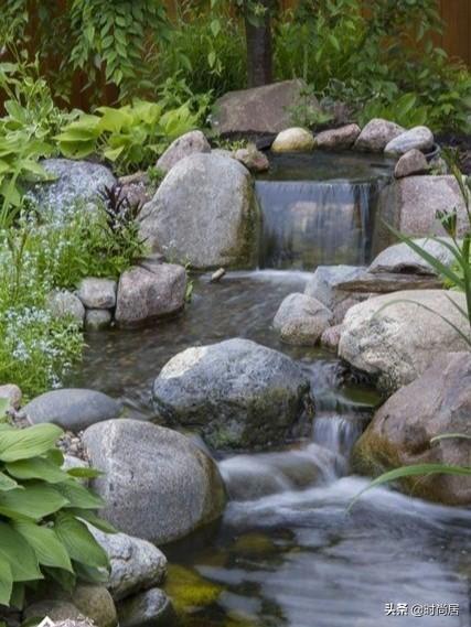 自制庭院小鱼池，手把手教你建室外鱼池