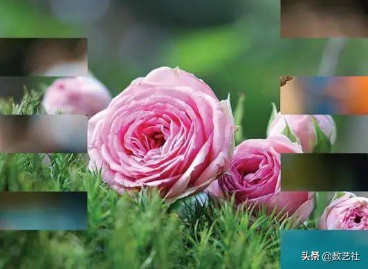 pr常用的转场效果，效果太生硬