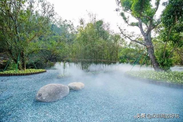 深圳 十佳绿道，深圳最美绿道-龙华区环城绿道羊台山段