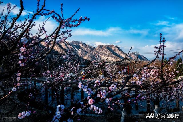 凤凰岭景区简介，海南之旅<5>——凤凰岭