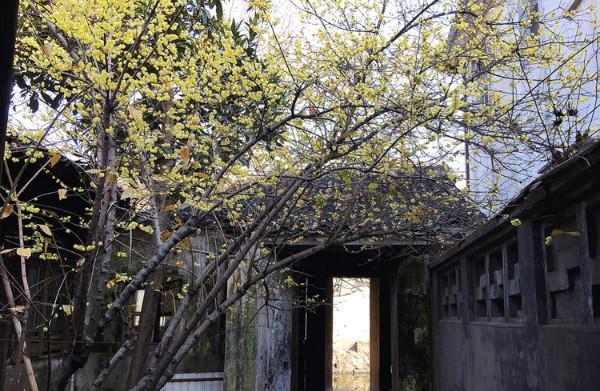 无锡八大古镇，江苏无锡最美七大古镇