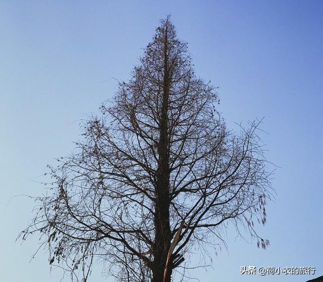 上海周边便宜的养老地方，住在普陀这个市级老年友好型社区是怎样一种体验