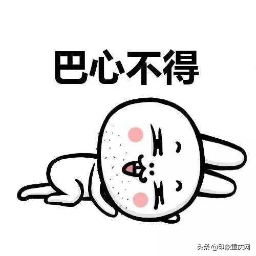 话说重庆言子，重庆言子的来历