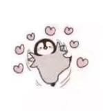 黑执事观看顺序，黑执事漫画最近剧情