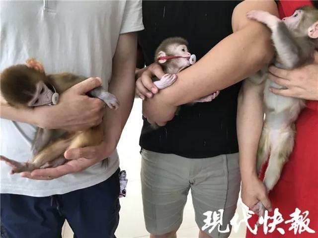 世界流浪动物日，世界环境日所有人（国际流浪动物保护日）