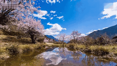 芜湖景点有哪些值得去玩的，芜湖必去的景点（这里经典必游的六个地方）