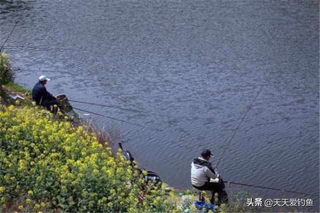 秋季南风天钓鱼怎么选钓位，注意钓法要能“防风”