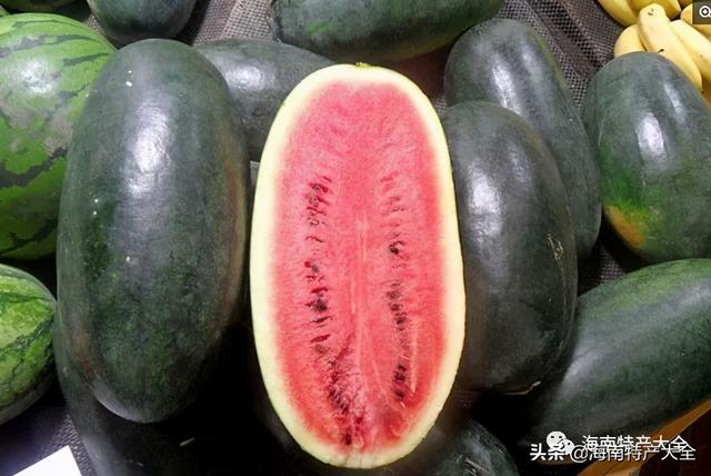 热带水果图片名称大全，海南10种热带水果（海南热带水果全介绍）