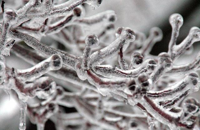 史前细菌存活350万年，远古细菌被复活