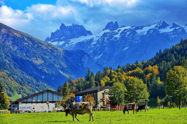 世界最大往返索道，坐世界首架360度旋转缆车